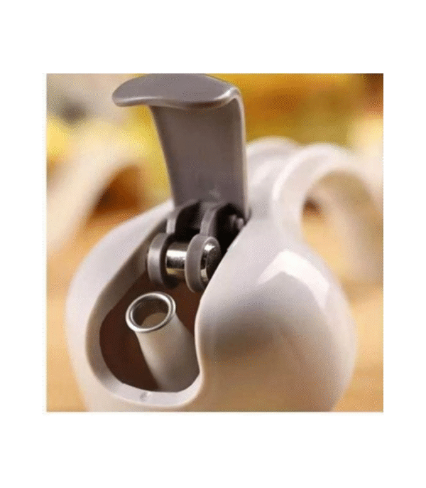 630 ML Glass Oil Jug (2)